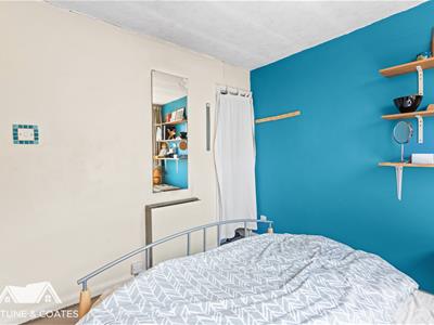 Picture 11